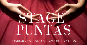 Stage de Navida 2024 : Iniciación & Reciclaje en Puntas para alumnas adultas